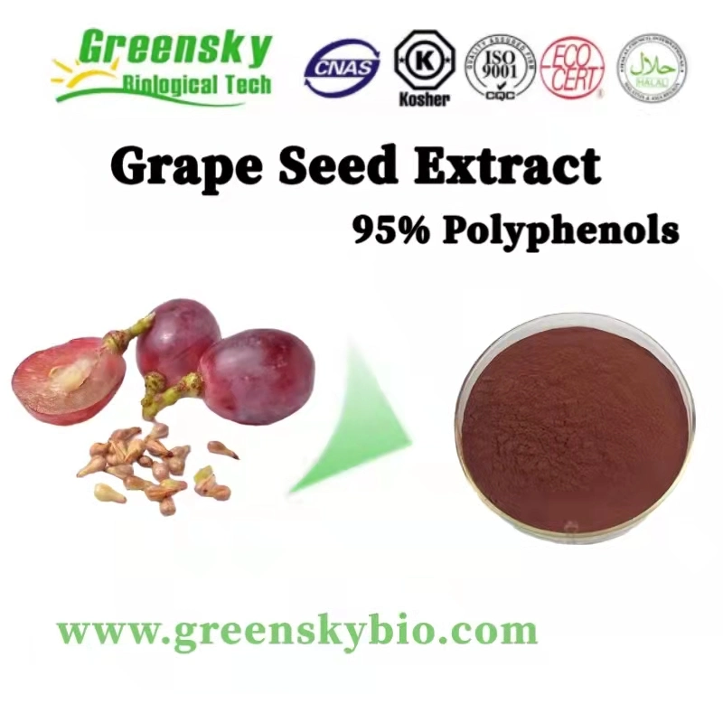 Pure Natural 95% Bio Traubenfrucht-Seed-Extrakt 95% Polyphenole Vitis Vinifera Extrakt Pflanzenextrakt Kräuterextrakt Lebensmittelzusatzstoff Antioxidans Hefeextrakt