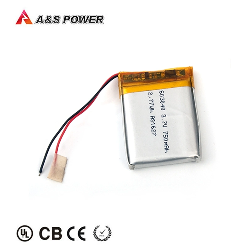 Lithium Polymer Battery 3.7V 603040 750mAh Batteries for PDA