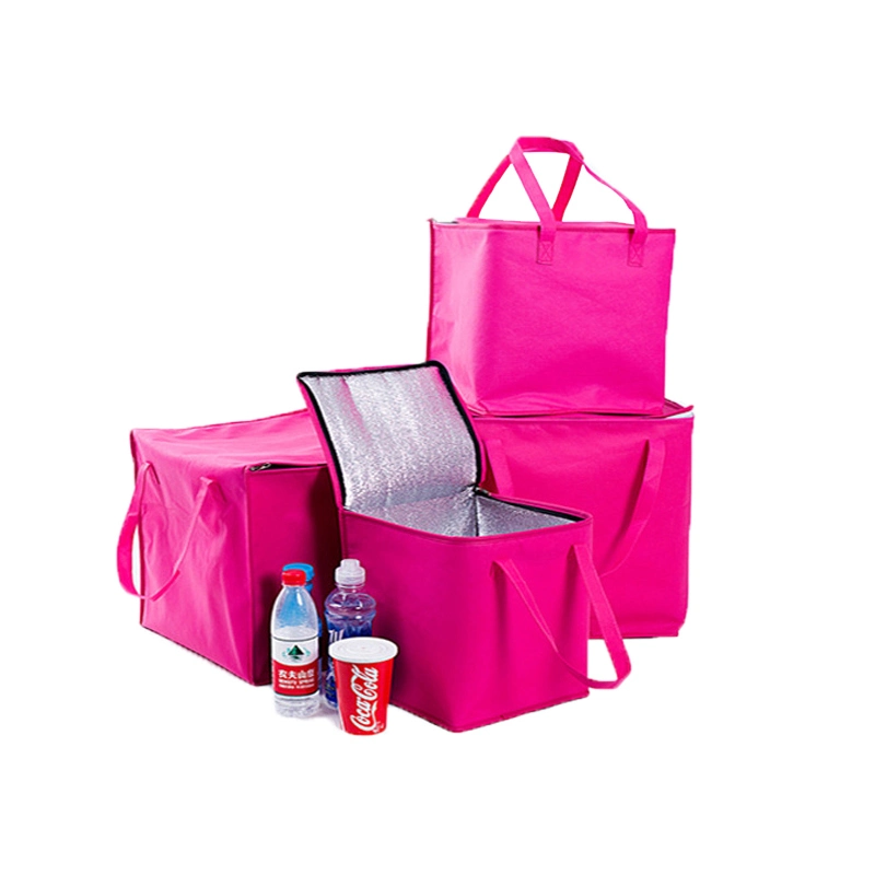 Insulated Made Logo Nonwoven Aluminium Thermal Disposable Picnic Wine Ice Cooler Bags