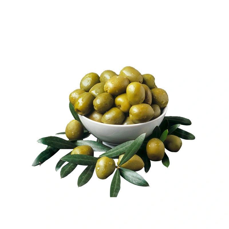 Organic Olive Leaf Extract 10%-40% Maslinic Acid Powder