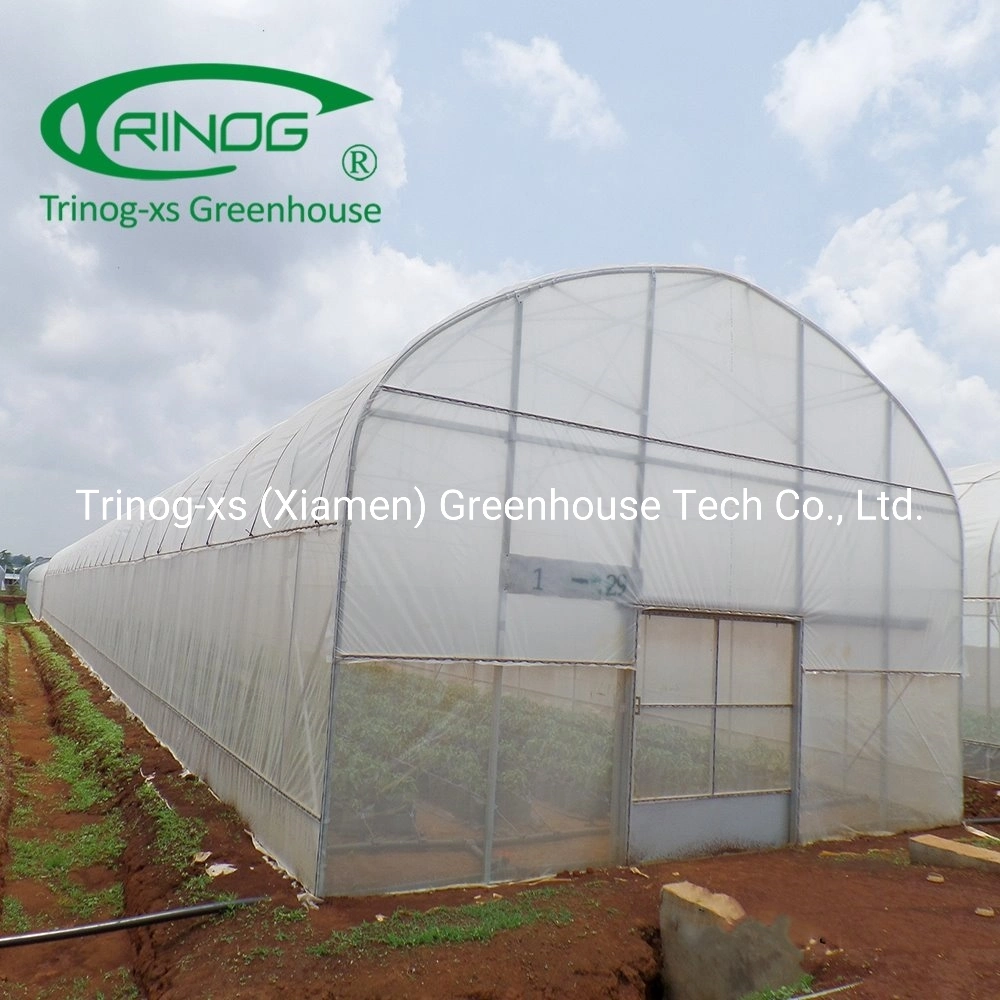 Vegetable hydroponics Tunnel Film Greenhouse for sale
