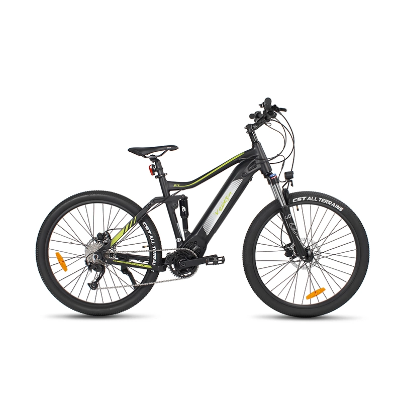 Hidden Battery Mountain Bike Full Suspension eBike