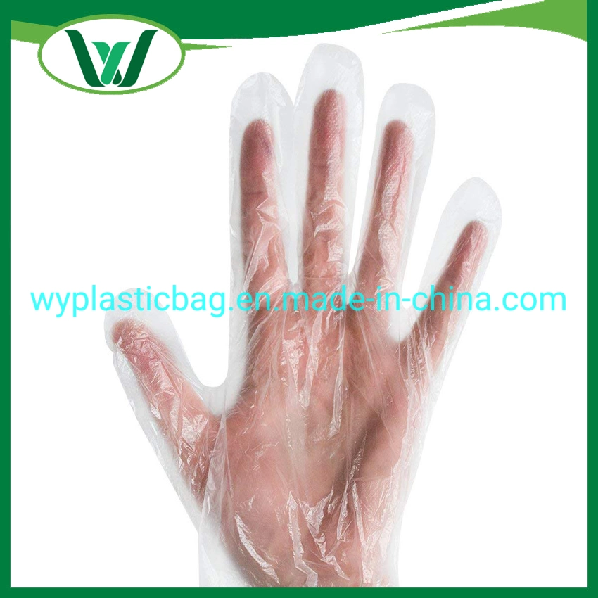 Clear PE Disposable Gloves, Food Handling, Transparent High Density Polyethylene