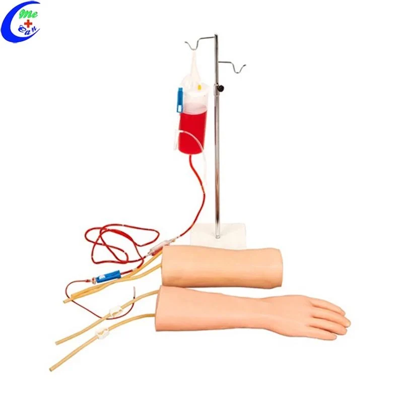 Menschlicher Körper Venipuncture Trainings-Arm-Modell für Medizinstudenten