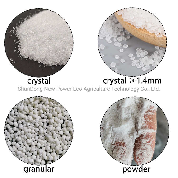 Ammonium Sulphate CAS 7783-20-2 China Agriculture Grade/Steel Grade Granular/Capro Grade