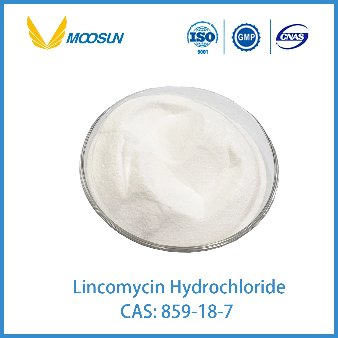 Veterinary Raw Material API Lincomycin HCl CAS 859-18-7 GMP ISO