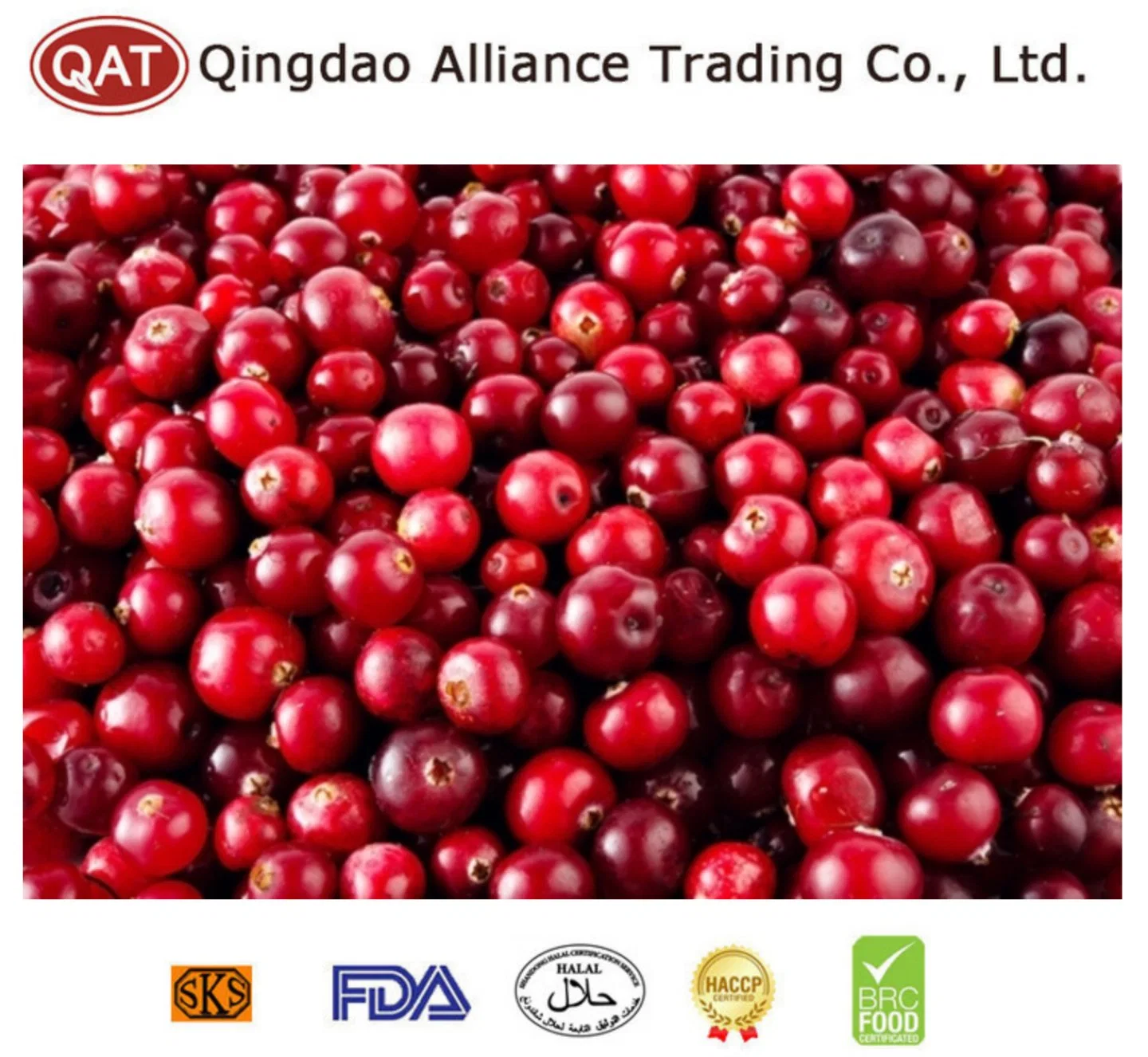 Bulk IQF Organic Frozen Fruits Top Quality Frozen Cranberry with Brc Certificate