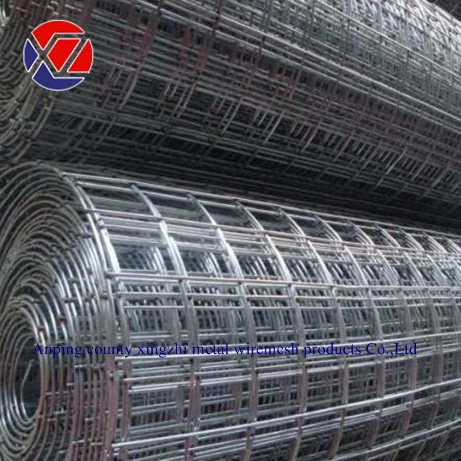 3/4 Inch Galvanized Welded Wire Mesh Protection From Birds