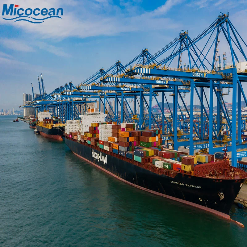 Ocean Shipping International Freight Forwarder Sea Shipping de Chine à Chypre