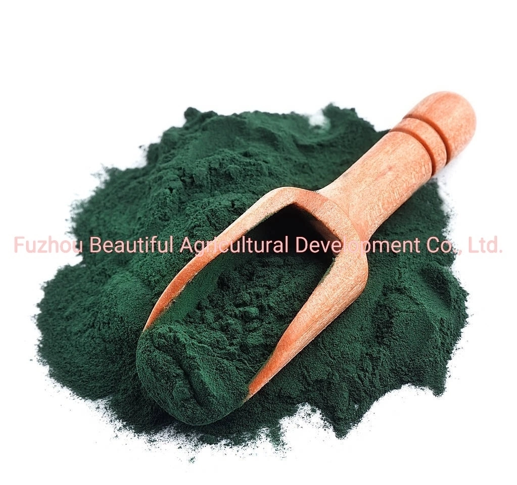 Wholesale Bulk Package of Organic Health Food High Protein Spirulina Powder