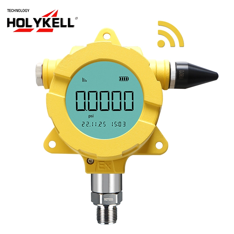 Holykell Explosion Proof Iot Smart Wireless Lorawan Pressure Transmitter with Online Monitor