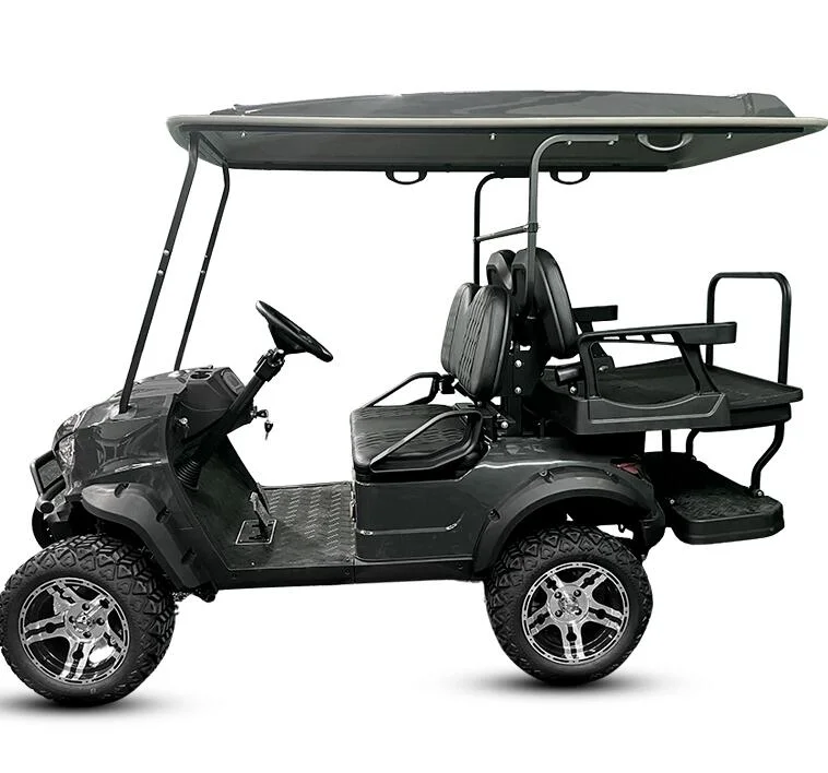 2 Seater Electric Golf Cart 2 Seats Electric Vehicles