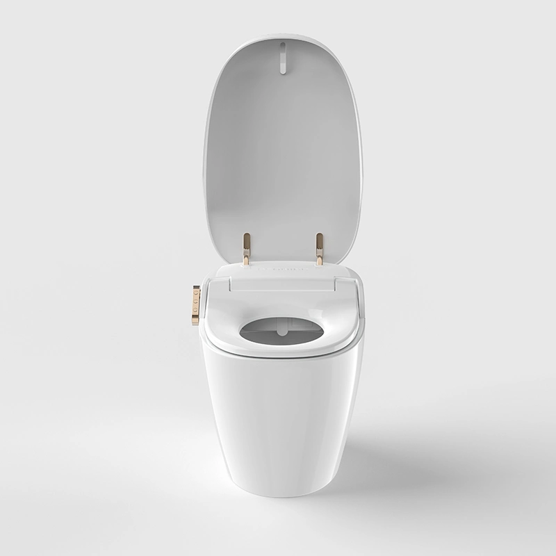 Wholesale/Supplier Bathroom Self Cleaning Smart Heating Toilet