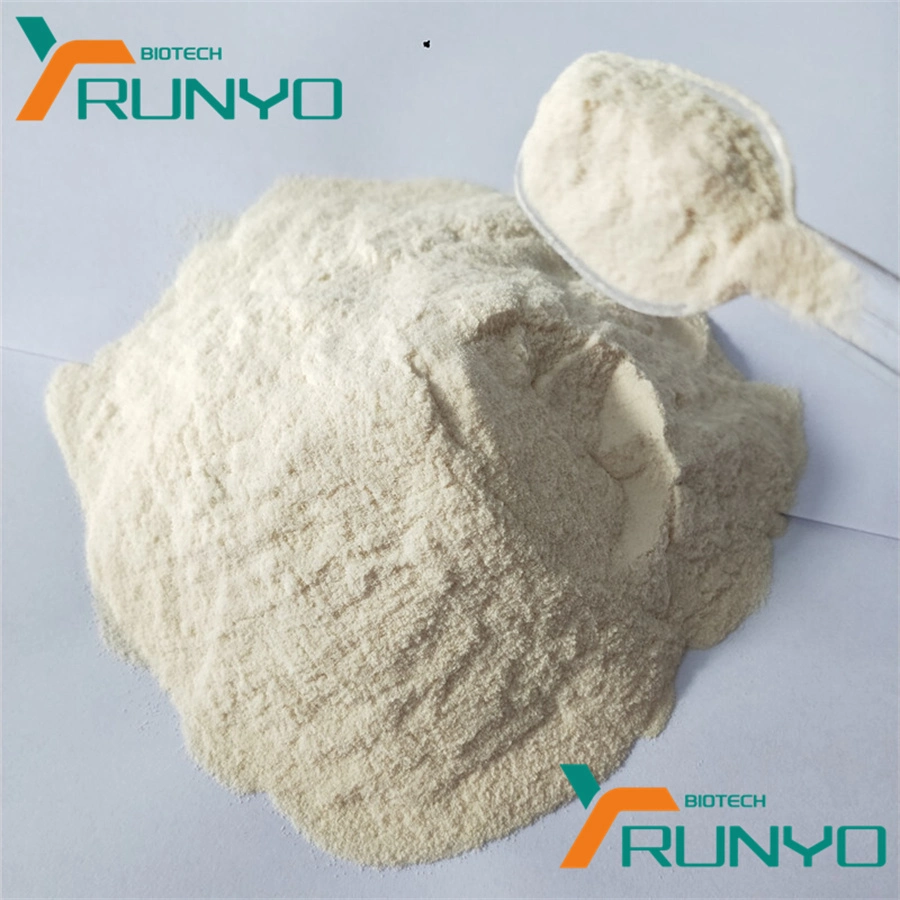 Food Grade Additive Powder CAS 11138-66-2 Xanthan Gum in Baked Foods Increase Water Retention, Meat Products, Thickener, Used in Jelly and Candy Processing