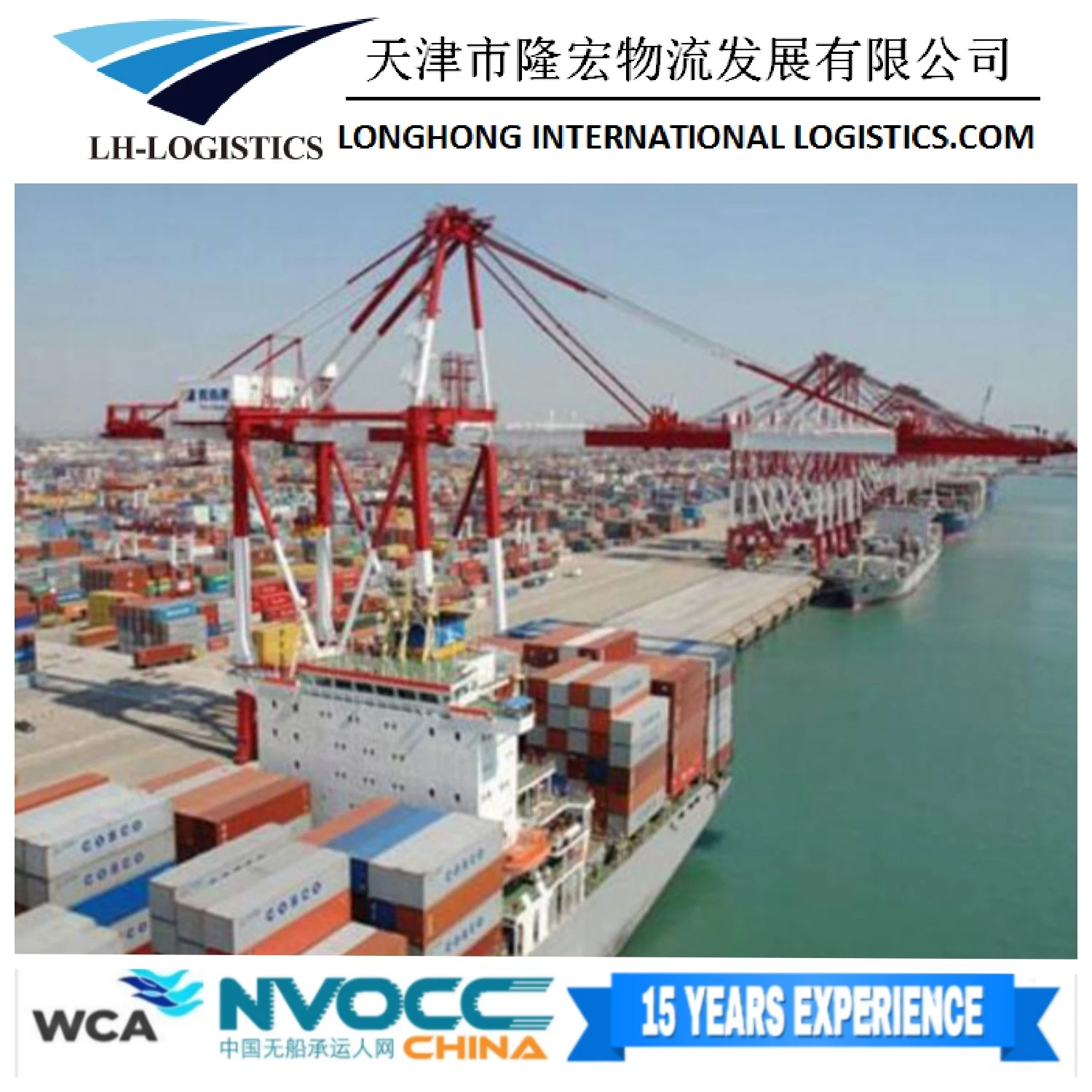 Container Shipping Freight to Yangon, Myanmar Asia/Europe/America/Canada by Sea From Shenzhen Shipping 1688