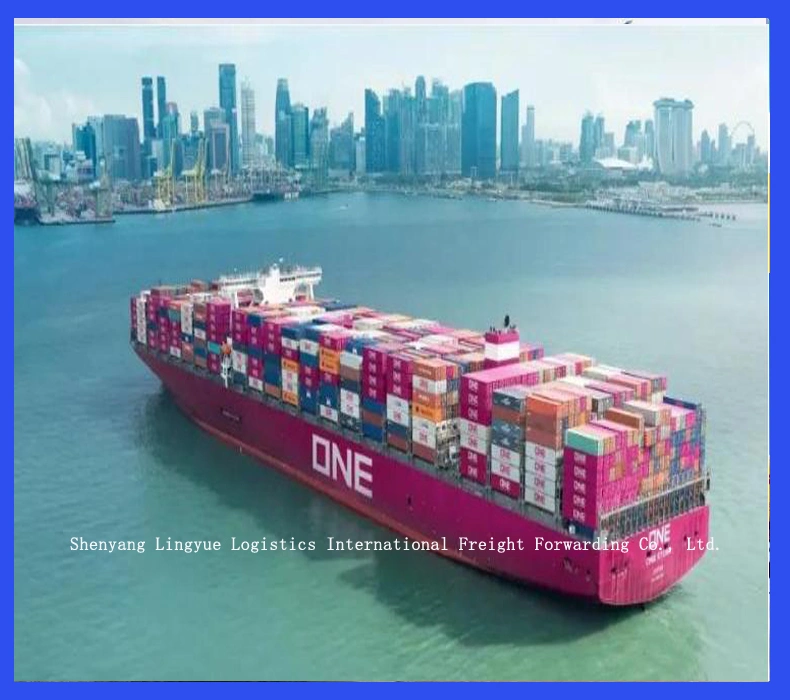 Professional Agent Sea Freight Service From Shenyang in China to Palau Shipping Freight