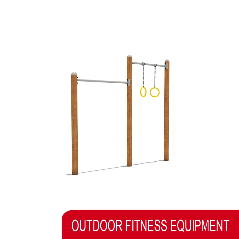 Juego Infantil Amusement Park Adults Garden Outdoor Fitness Gym Equipment