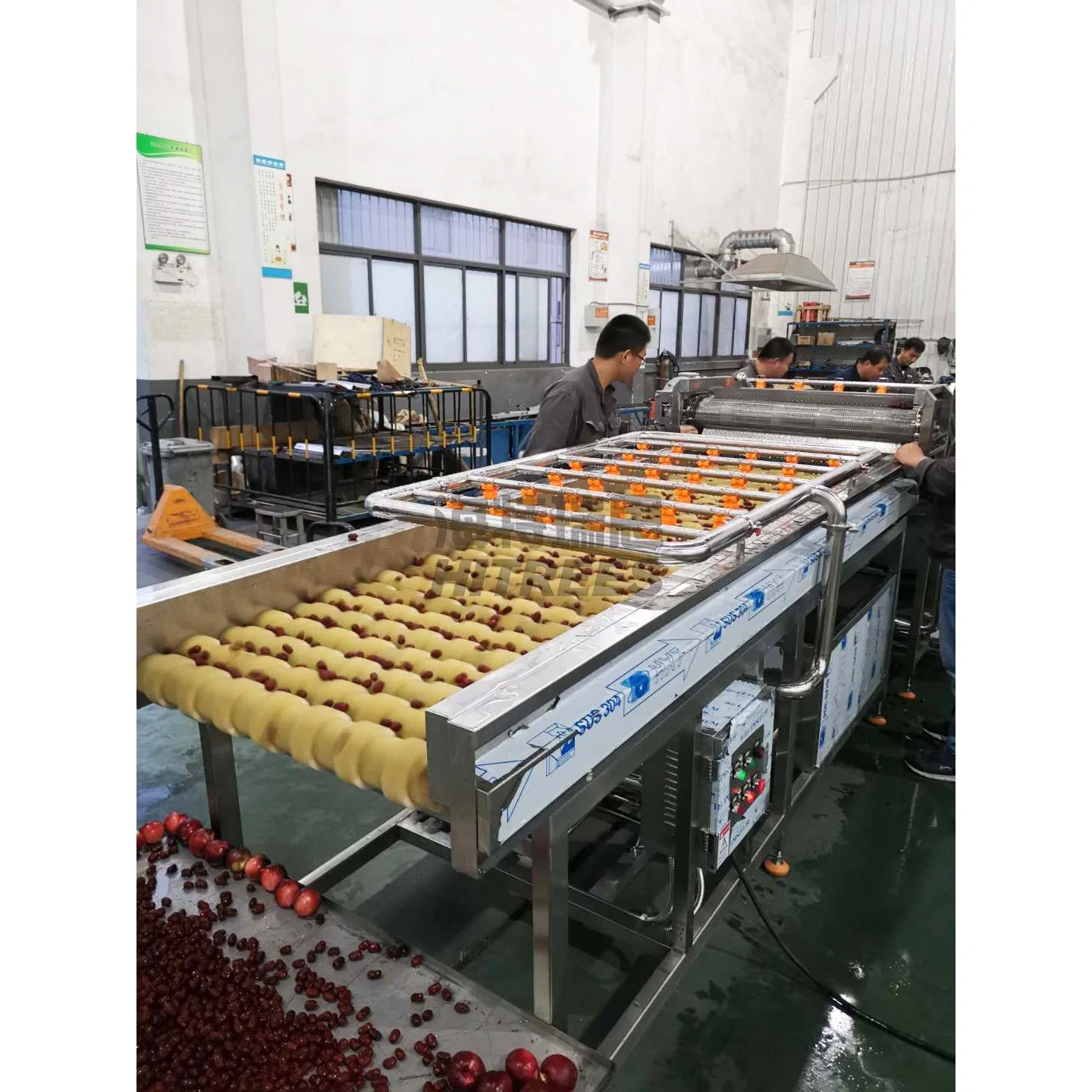 High Speed Produktionslinie von Obst und Gemüse Roller Washing Maschine Kartoffelreinigungsmaschine