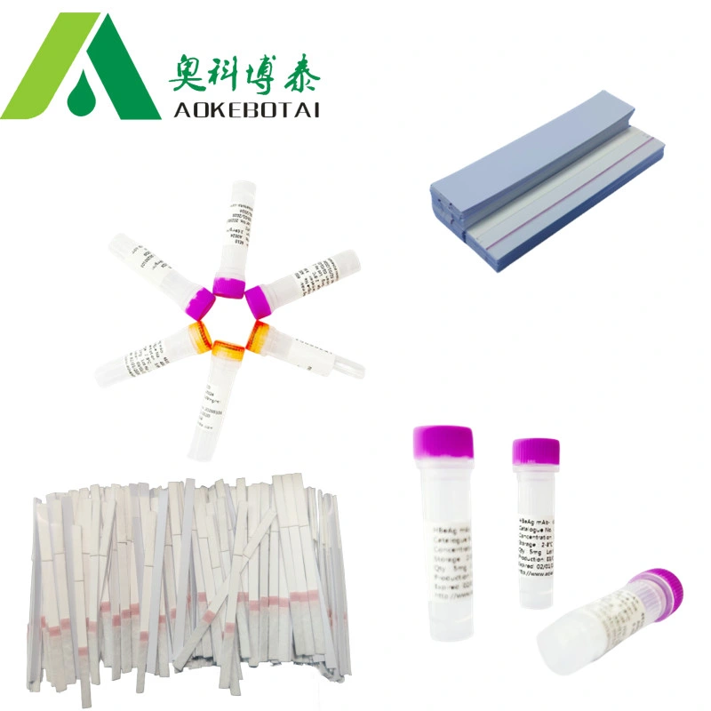 Manufacturer supply test marker Cyfra21-1 antigen with high quality and competitive price