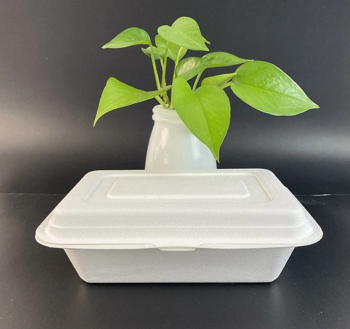 Bagasse Pulp Hinge Lunch Box -[9*6, Pfas Free]- Biodegradable Compostable Disposable Waterproof and Oil Proof, Heavy Duty