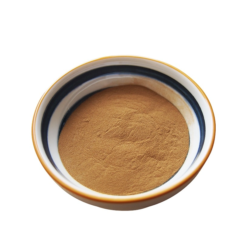 Health Medical Radix Notoginseng Extract Notoginsenoside 5% - 40% HPLC