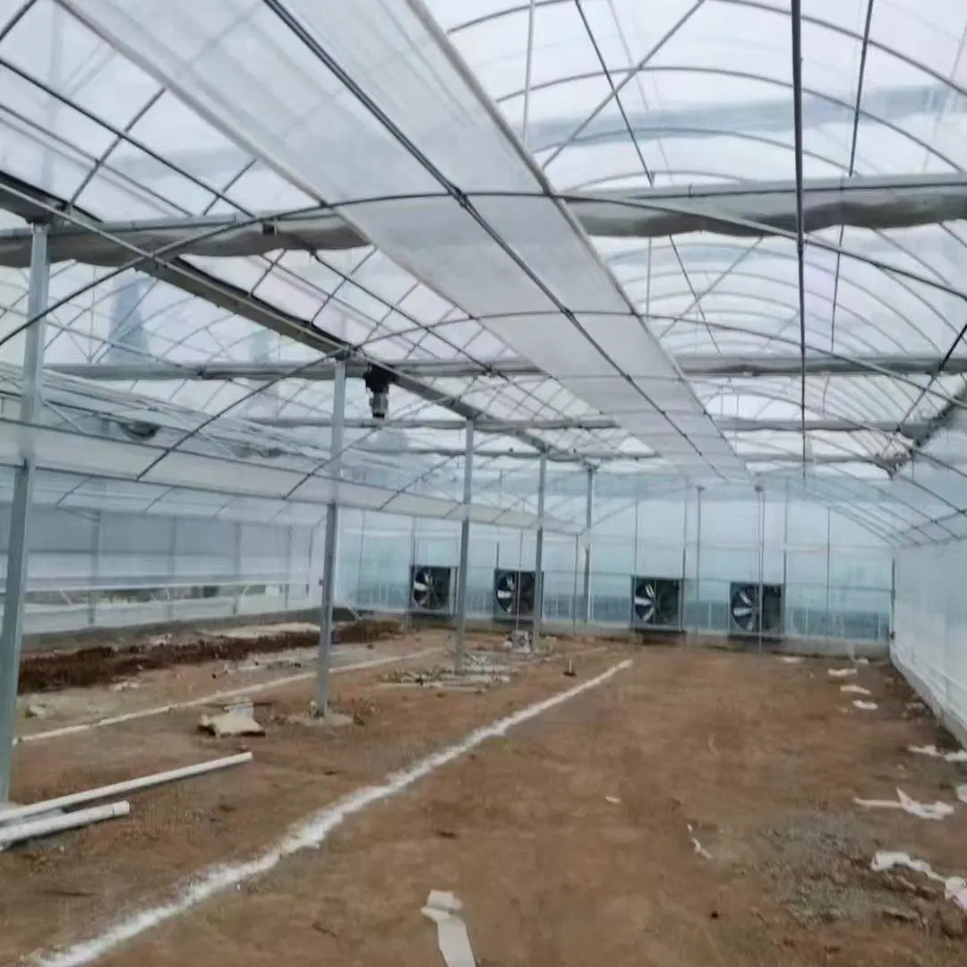 Factory Wholesale/Supplier Vegetable Agricultural Plastic Film Greenhouse for Sale