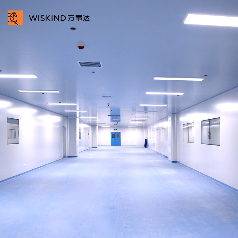 50mm High-Strength Aluminum Alloy Cleanroom Window for Pharmaceutical Laboratory and Food Workshop with ISO9001