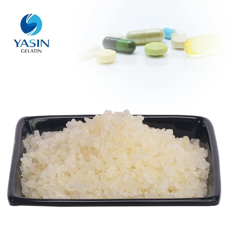 Supply Gelatin Powder Halal in Malaysia