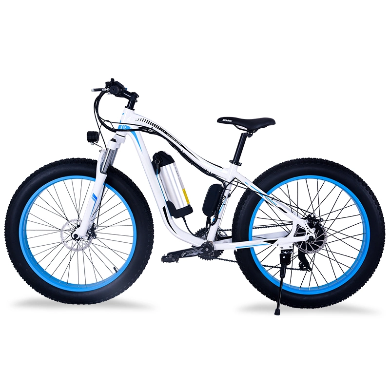 Original Factory Compact E Bike Electric Motor Bike Fat Tire with LED Display