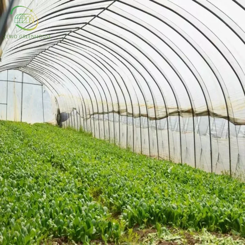 Hot Sale High-Quality Single Span Commercial Tunnel Plastic Film Greenhouse for Sale