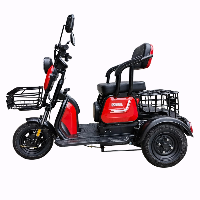 3 Wheel E Bike for Philippines/Canada with Best Price From Original Factory