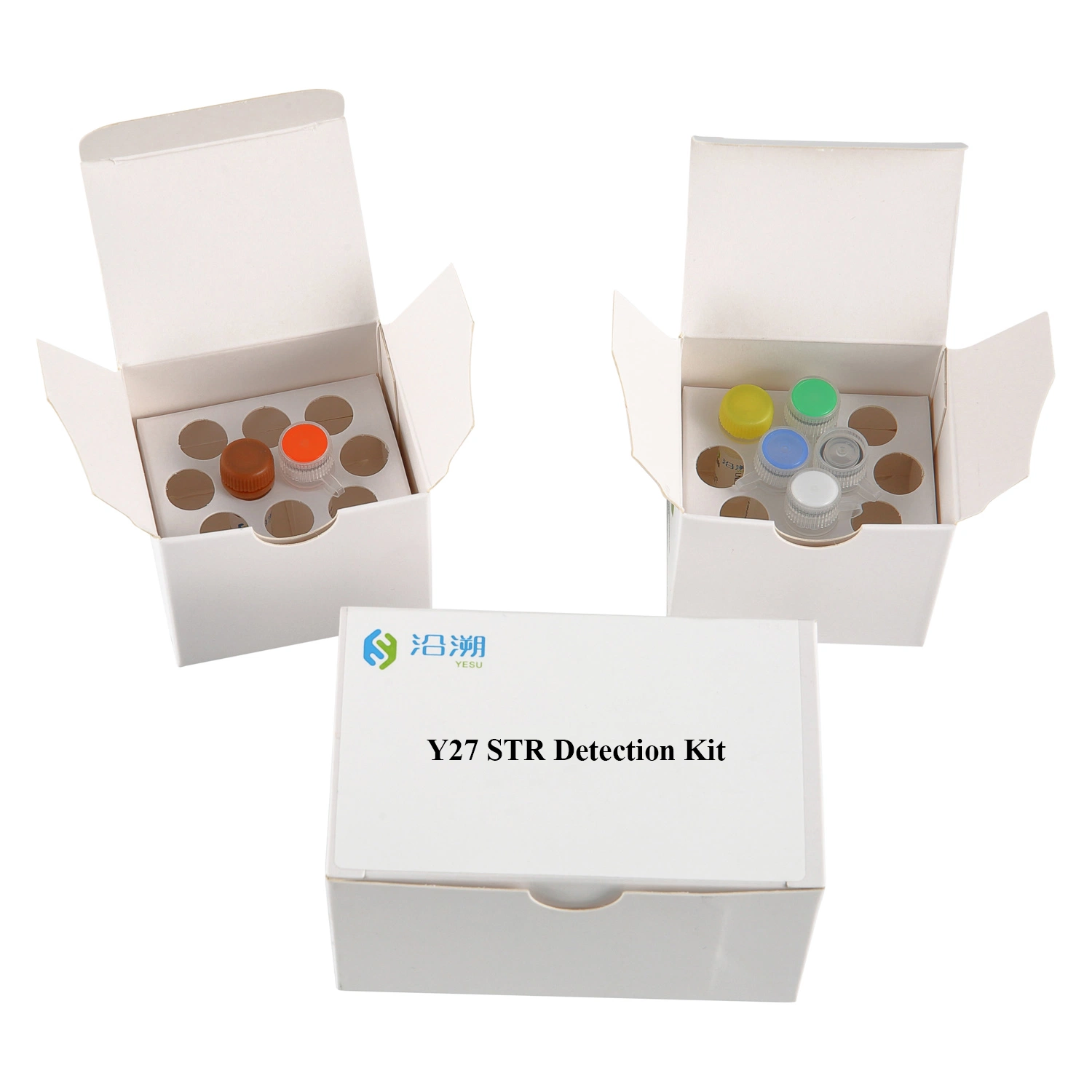 Kit de teste de cromossoma Y 27 loci/Kit de detecção de Str/ADN forense Kit/testes de ADN de Ascendência/reagente para PCR fluorescente de seis cores