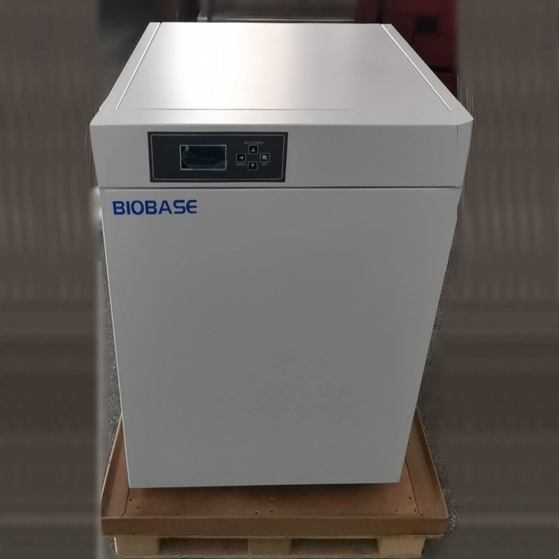 Biobase China Constant-Temperature Incubator in Stock