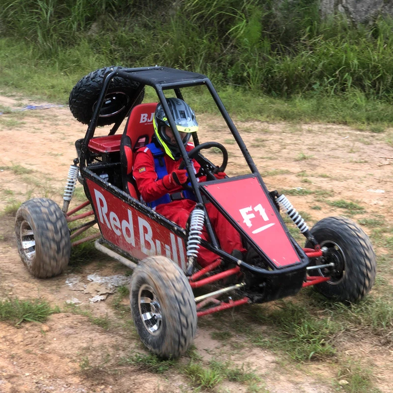 Hot Sale 180cc Super Racing Beach 1 Seater Go Kart for Adult