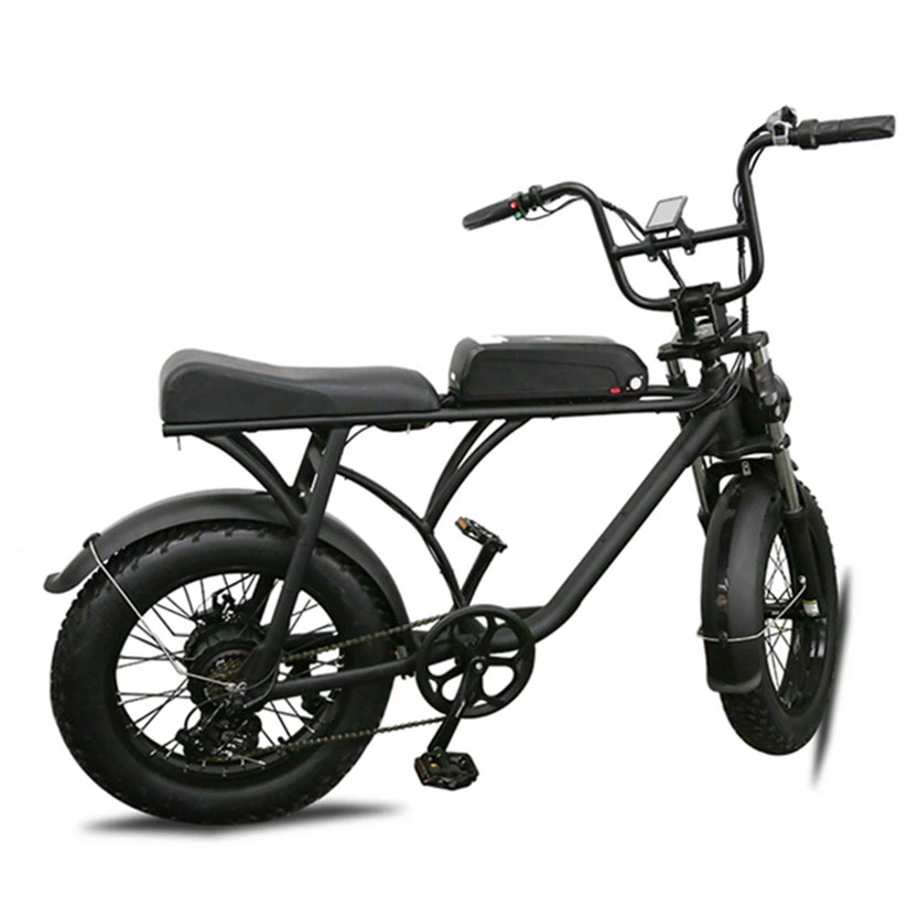 Europa Electric Fat Bike 750W aluminio Marco para 20 pulgadas Bicicleta eléctrica de grasa para todas las edades