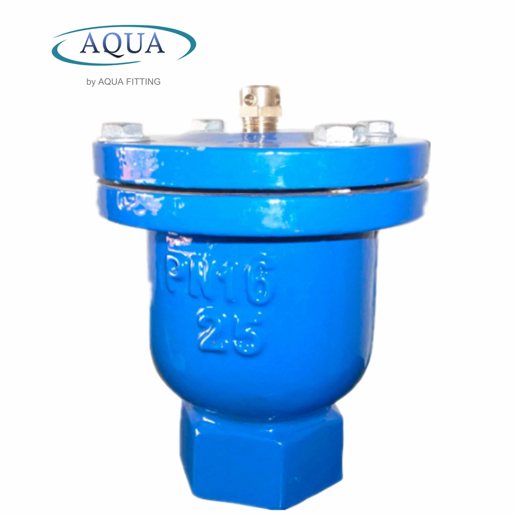 Fusion Bonded Epoxy DN100 Pn16 Ductile Cast Iron Automatic Double Orifice Air Release Valve for Water