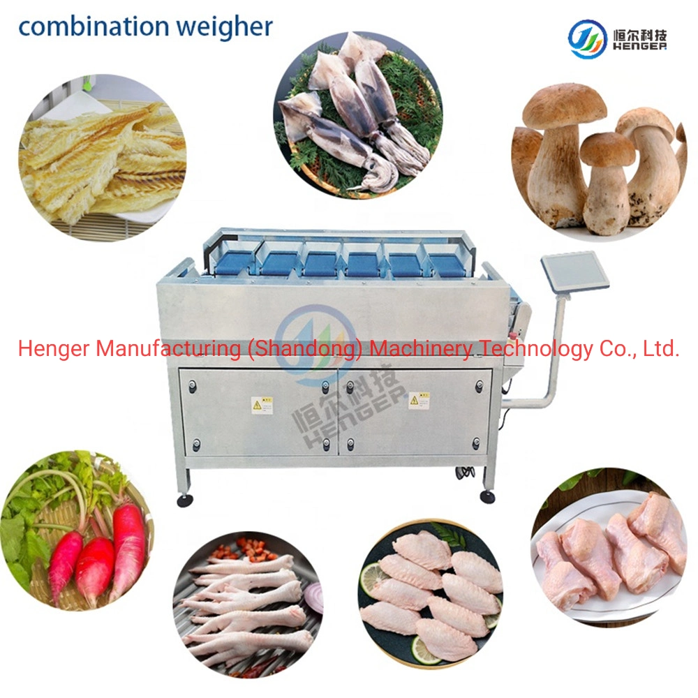 Combination Weigher and Automatic Weight Grading Machine for Food Factory