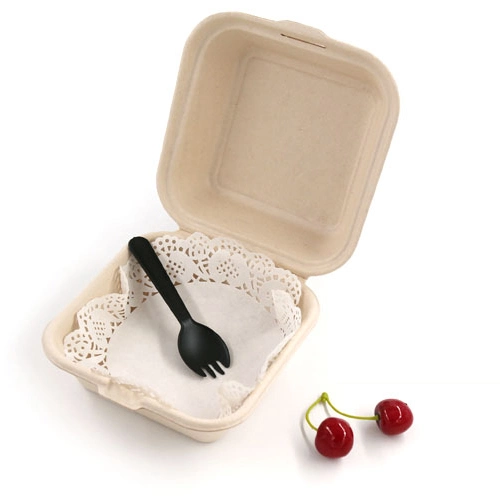 Biodegradable Burger Box Custom-Made Biodegradable Disposable Lunch Box, Takeaway Box