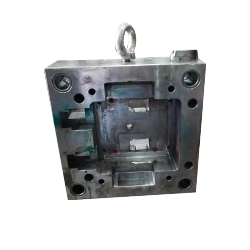 Plastic Plastic Shell Mold Processing Injection Molding Design