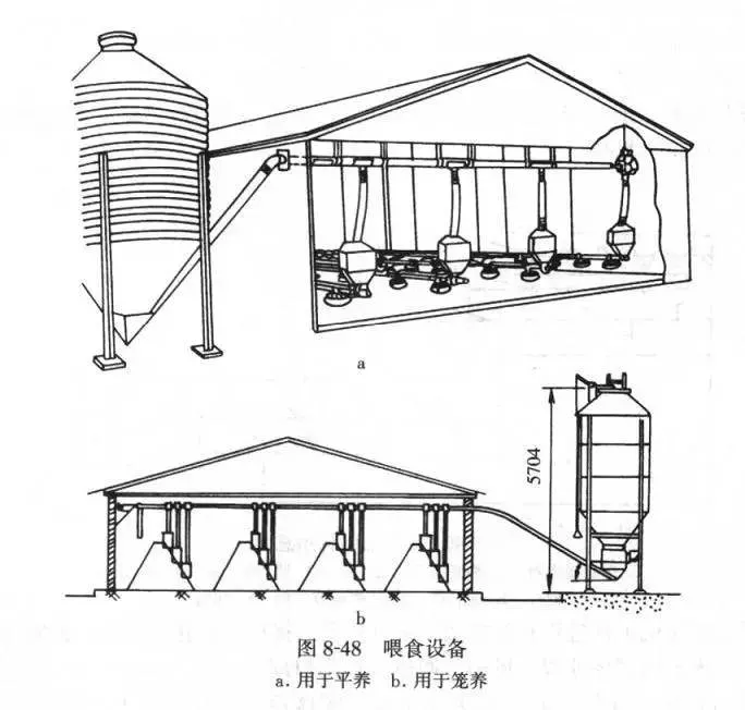 Prefab Chicken House with Fully Farm Equipments