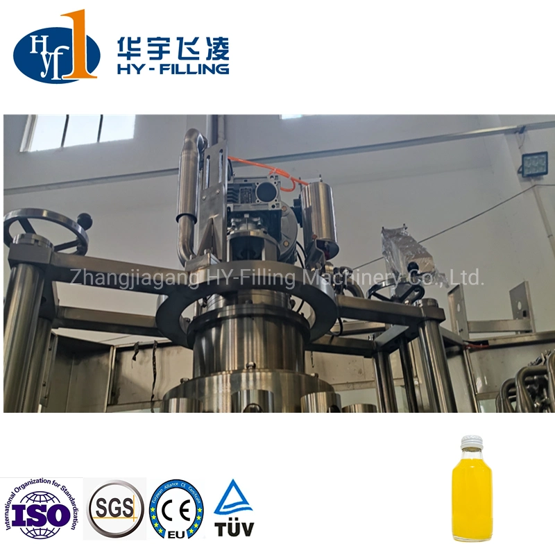 Ropp Cap, Crown Normal Cap, Screw Cap Full Auto Glass Bottle Beverage Juice Dairy Drink Bottling Rinsing Hot Filling Capping Machine Beverage Processing Machine