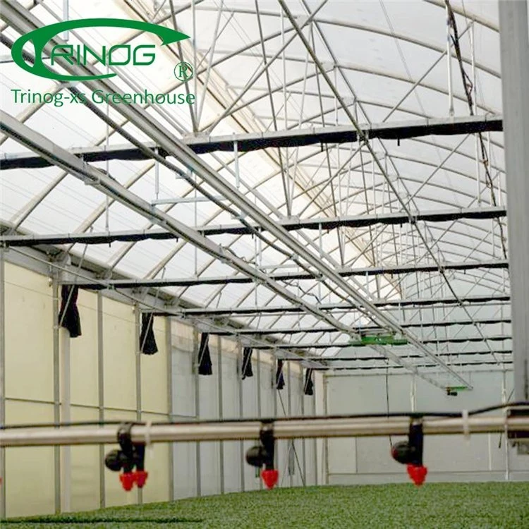 High quality/High cost performance Plastic Film Multi-span Greenhouse for Cultivation