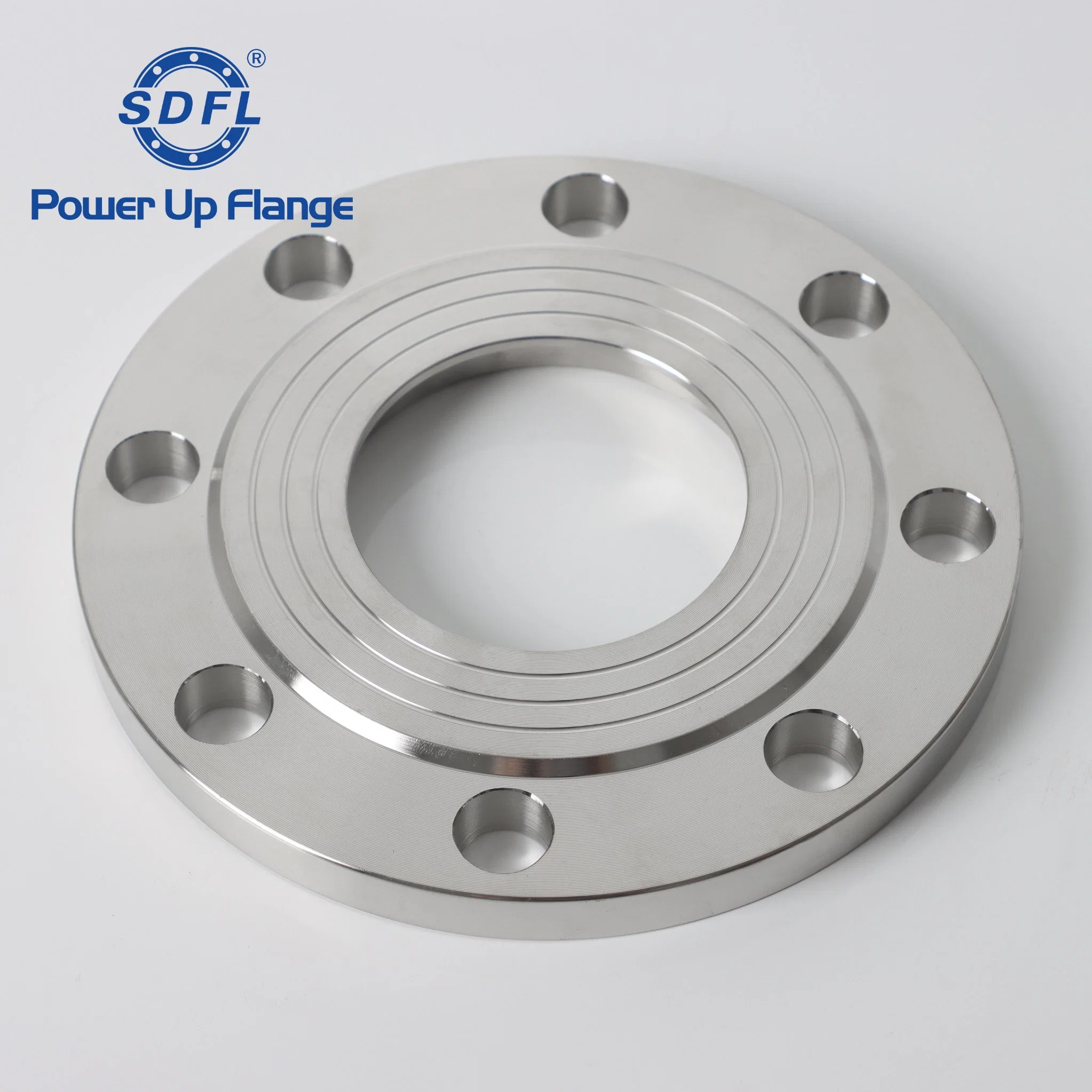 ASME B16.5 3inch 150b Forged 304 RF Stainless Steel Plate Flanges