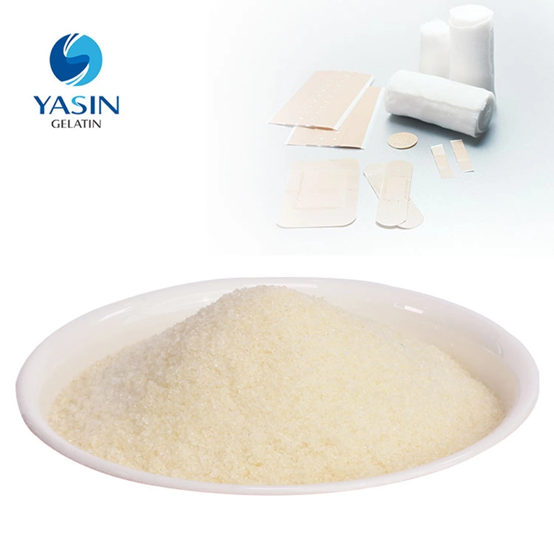 Halal Certificated Gelatin Powder