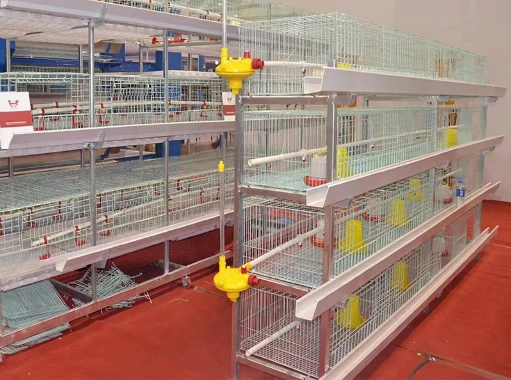 Maquinaria ganadera sistema automático de alimentación de jaulas de aves de corral para capas