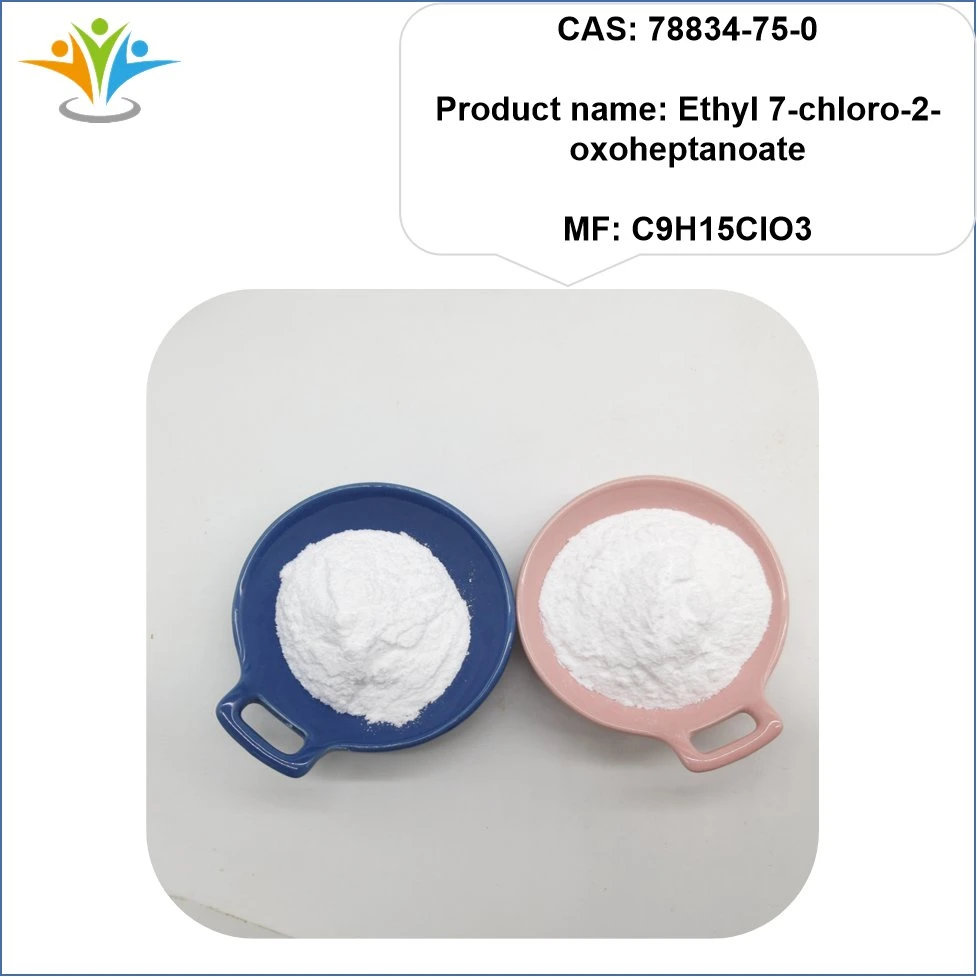 Fabricant fourniture cas 78834-75-0 Ethyl 7-Chloro-2-oxoheptanoate