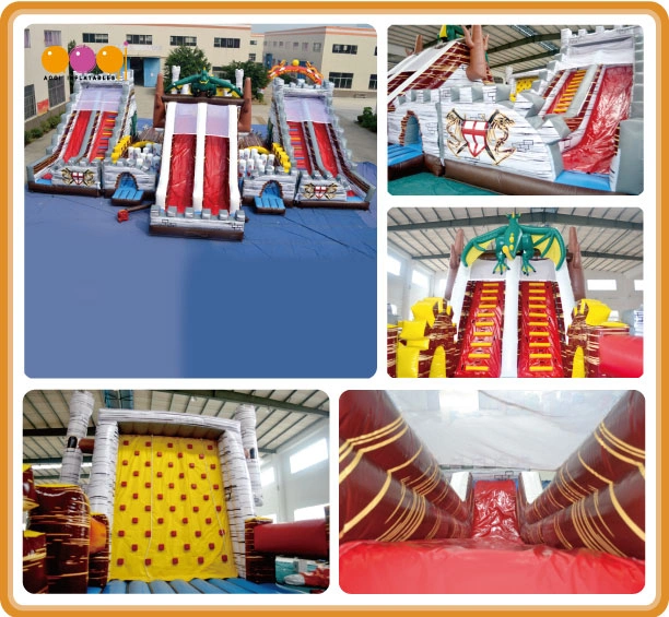 Giant Inflatable Dragon Slide Inflatable Funcity for Promotion (AQ01162)