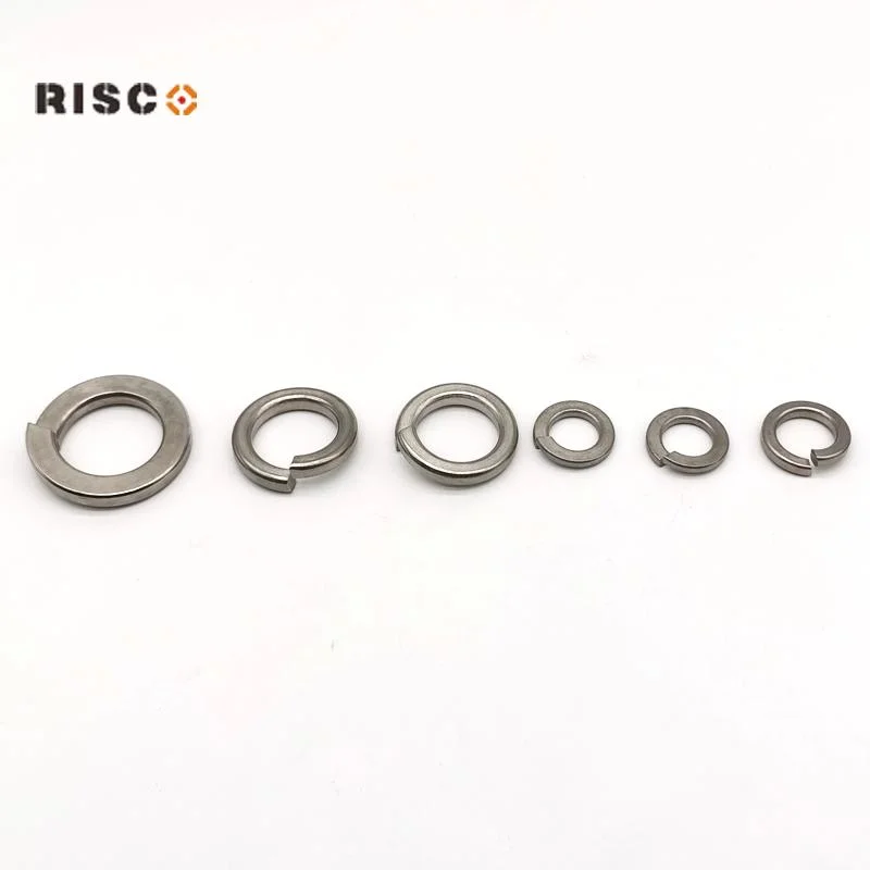 Stainless Steel DIN127 SS304/316 Manufacturer M10 in Stock Spring/Flat/Lock Washer