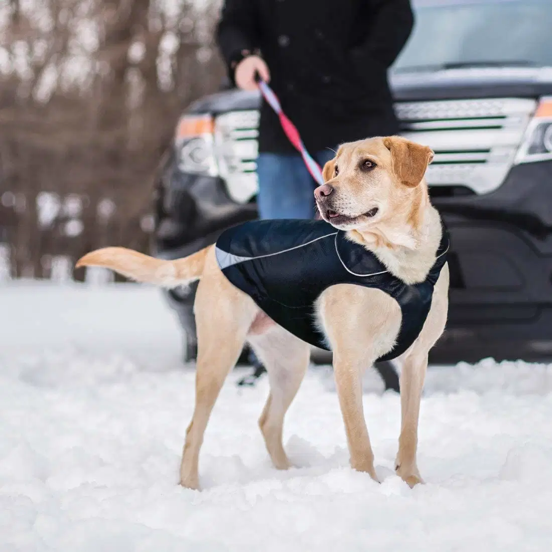 Водонепроницаемая куртка собак, мягкая подкладка из флиса с насечками собака покрыть в зимнее время