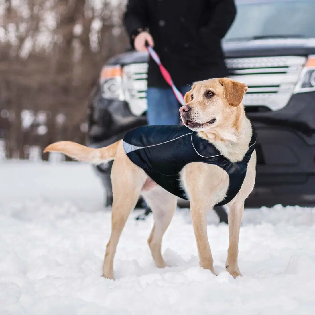 Wasserdichte Hundejacke, weicher Fleece gefütterter Hundemantel für den Winter